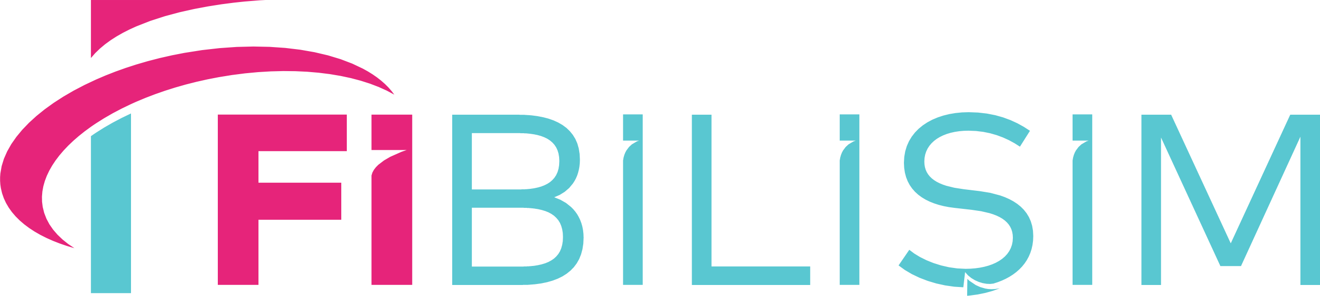 FiBilisim